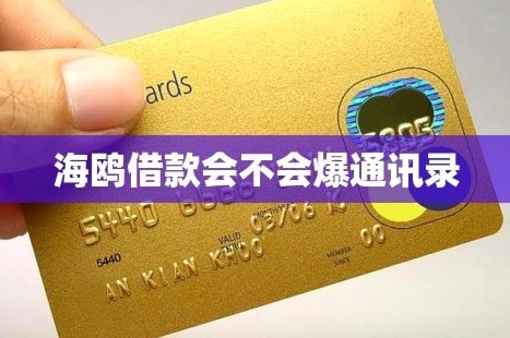 海鸥借款平台的新型融资模式探析