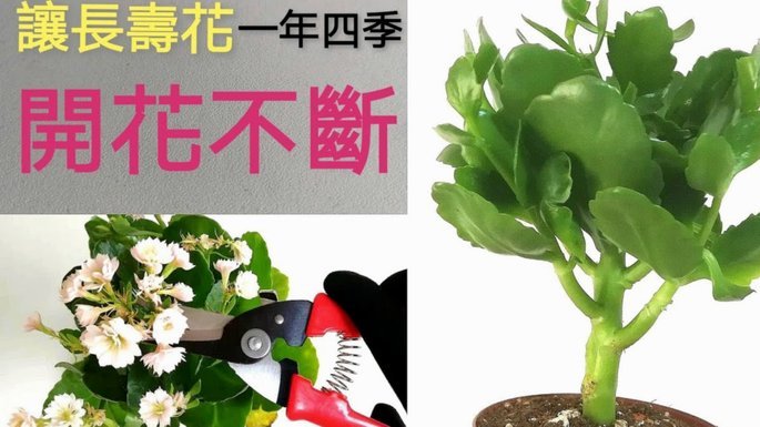 花呗分期“套路”：别上当！