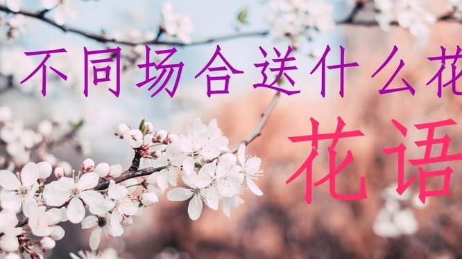 套花呗分期怎么回事