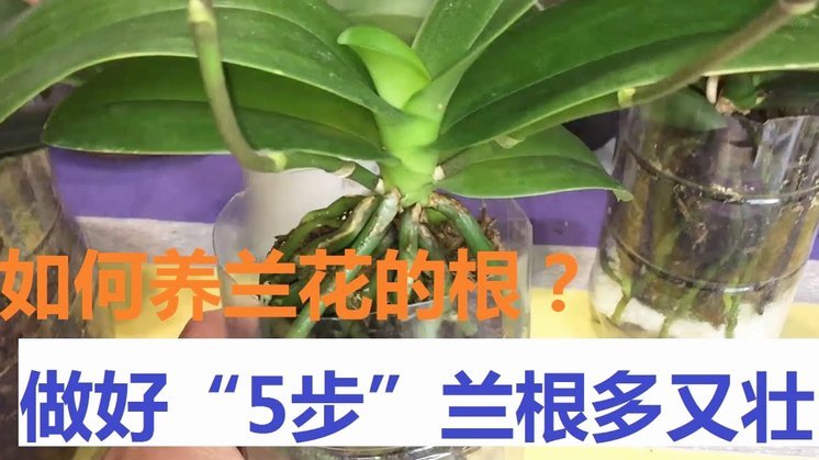 携程拿去花如何违规套现被打击