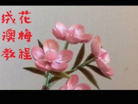 秒花花：高效生活的秘密武器