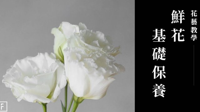 秒花花怎么样