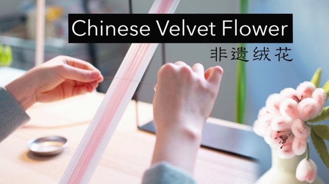 秒花花怎么样