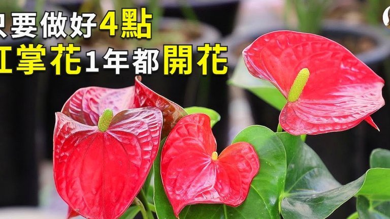 花呗秒套平台怎么样 套现的