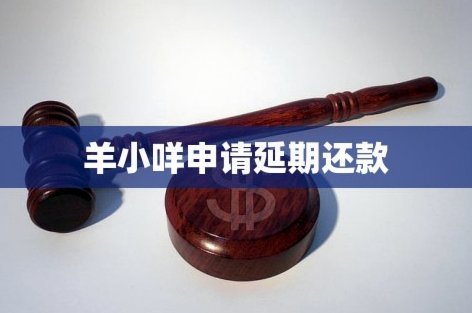 羊小咩延期：还能玩多久？