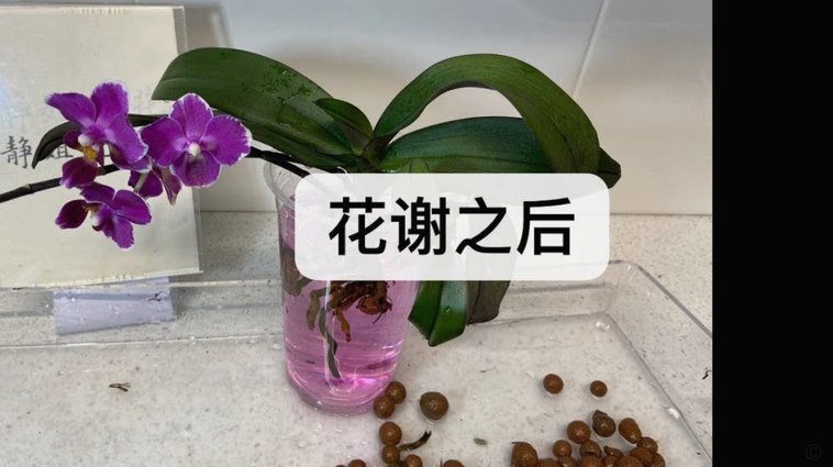 携程拿去花如何提现 平台的钱