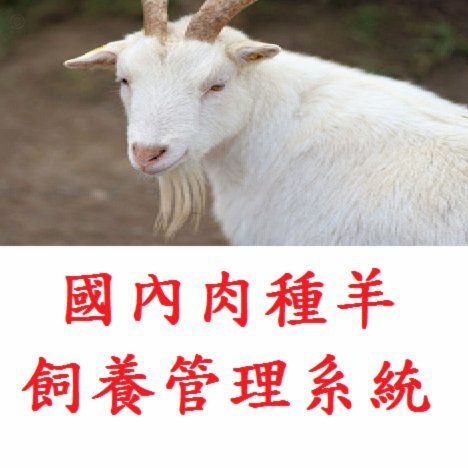 羊小咩便荔卡包额度如何提现取现额度或购物额度