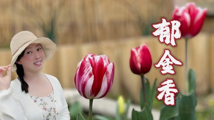 花呗转现：小心收费与风险