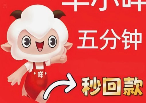 羊小咩备用金在哪申请
