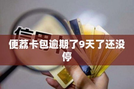 便荔卡包出来多久了