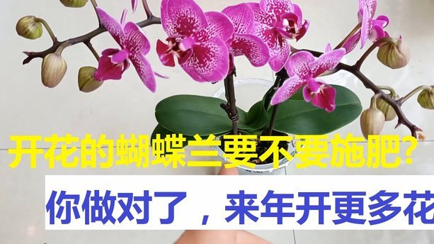 花呗提现：安全风险与防范指南