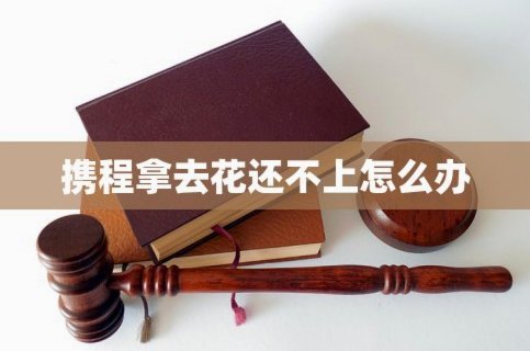 携程拿去花怎么订酒店不能用了
