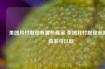 美团月付商家大撤退：生态系统利益博弈