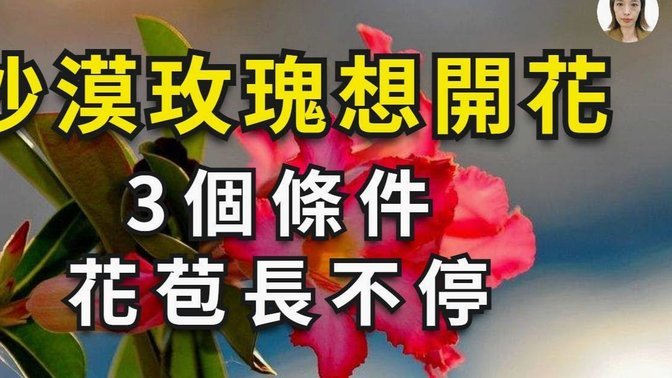 拿去花怎么套出来知乎
