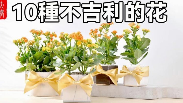 拿去花怎么套出来知乎