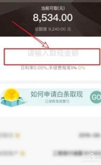 如何在白条上借款