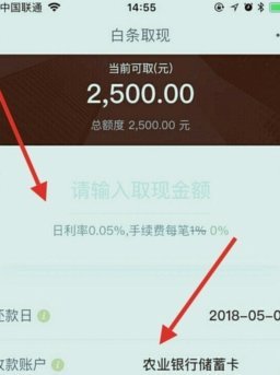 如何在白条上借款