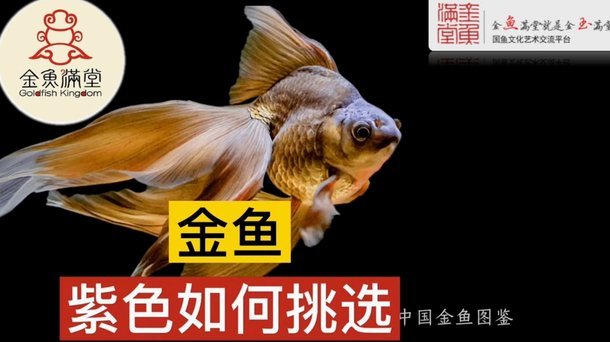 拿去花怎么刷出现金