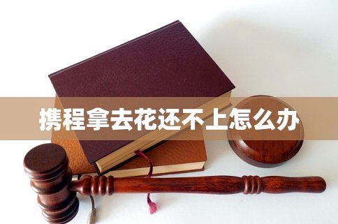 携程拿去花怎么支付酒店