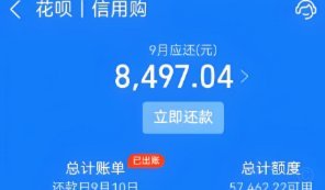 拿去花的额度怎么提现