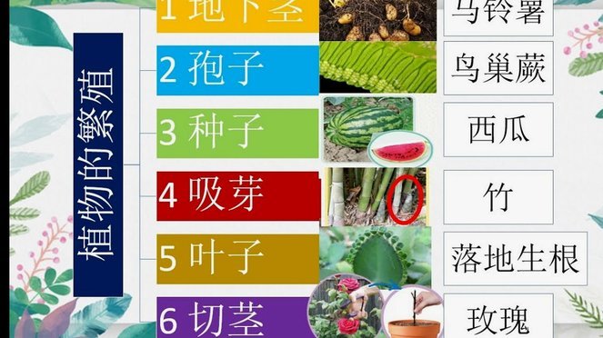 得物月付套现最简单方法