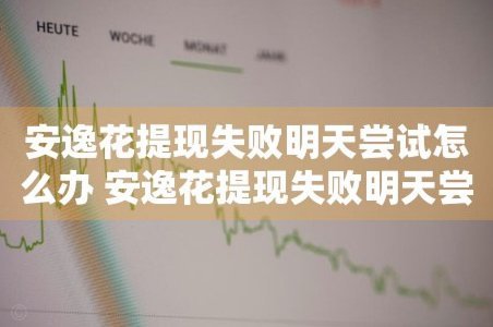 安逸花提示明天再试