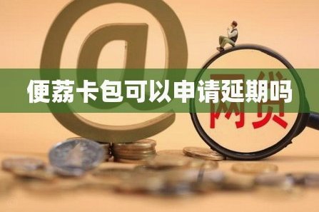 便荔卡包平台合规性调查报告