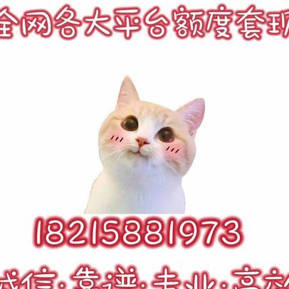 携程额度限制背后：平台算法和用户行为的博弈场域解析