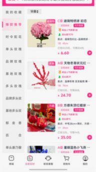 多平台使用指南