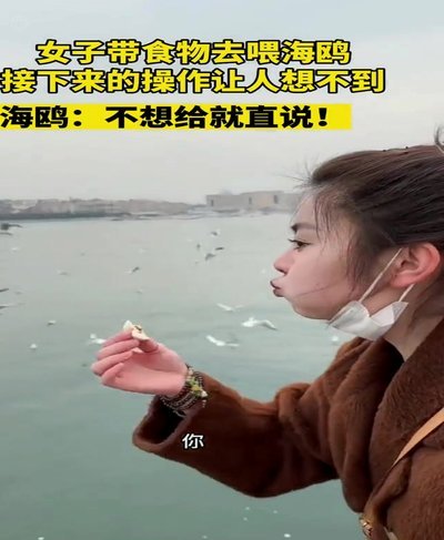 海鸥借款平台可信吗？