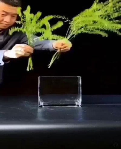 花呗“套现”：内幕揭秘