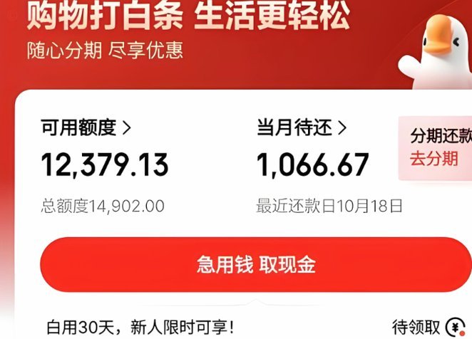 白条取现期限揭秘