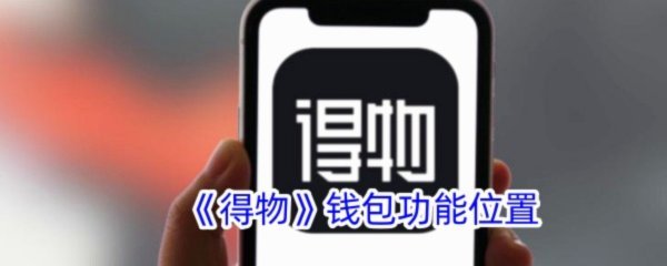 得物钱包余额怎么用？灵活支付省钱技巧