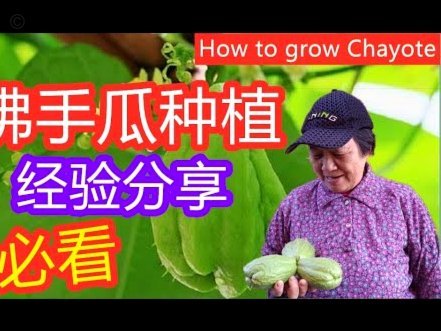 拿去花套现最简单方法