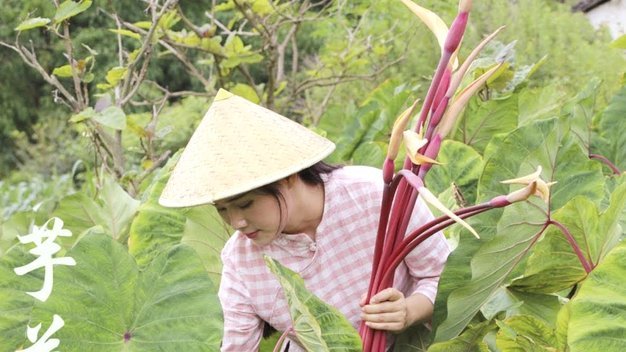 从消费场景看拿去花能否在去哪儿套现