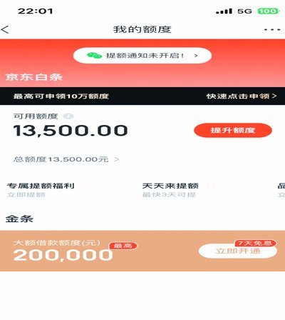 白条购物额度怎么套
