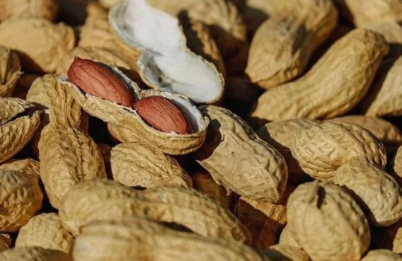 得物单笔大额交易被限额了怎么办？全攻略自查指南