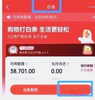京东白条提现全流程指南：额度、手续费与步骤详解