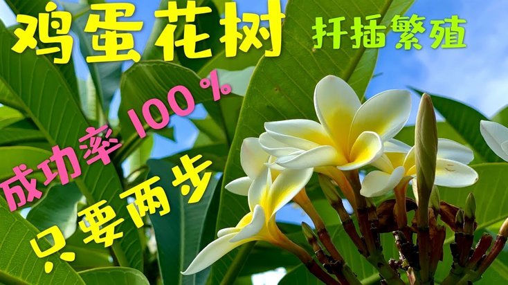 5000元套现消费，真的必要吗？