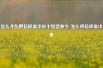 花呗如何自己套出来