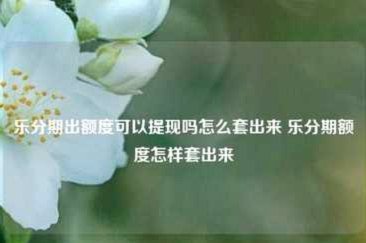 分期乐额度提升攻略